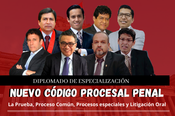 DIPLOMADO: NUEVO CODIGO PROCESAL PENAL