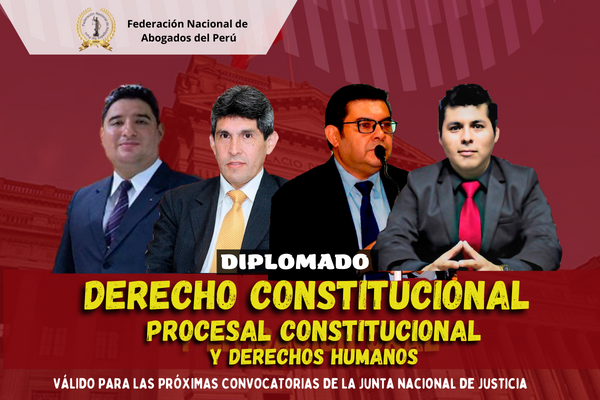 DIPLOMADO: CONSTITUCIONAL, PROCESAL CONSTITUCIONAL Y DERECHOS HUMANOS