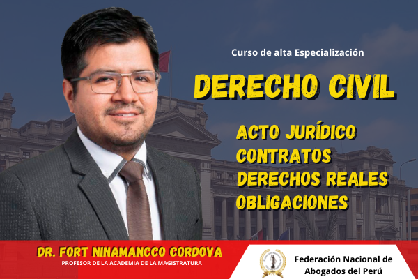 Curso: Derecho Civil ( Acto jurídico, Contratos, Obligaciones y Reales)