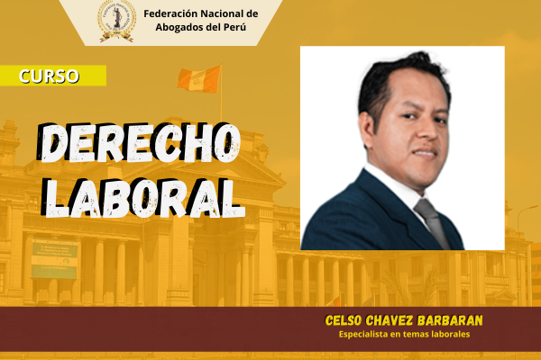 Curso: Derecho Laboral