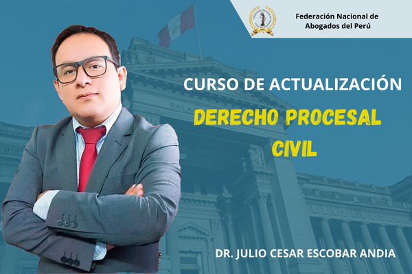 Curso: Derecho Procesal Civil